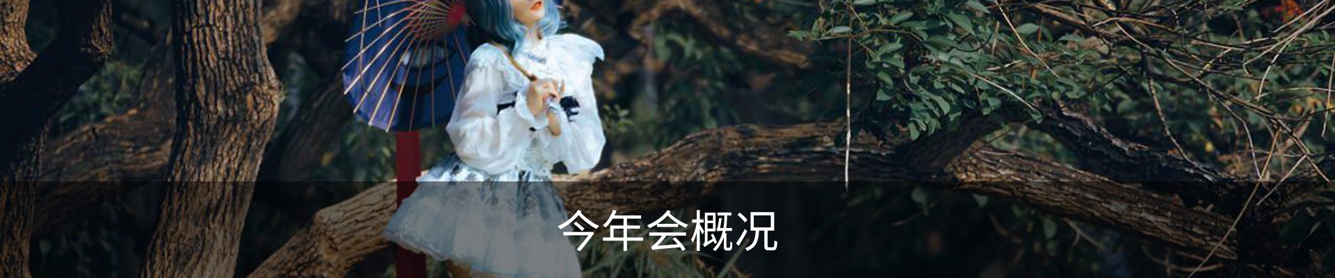 今年会概况